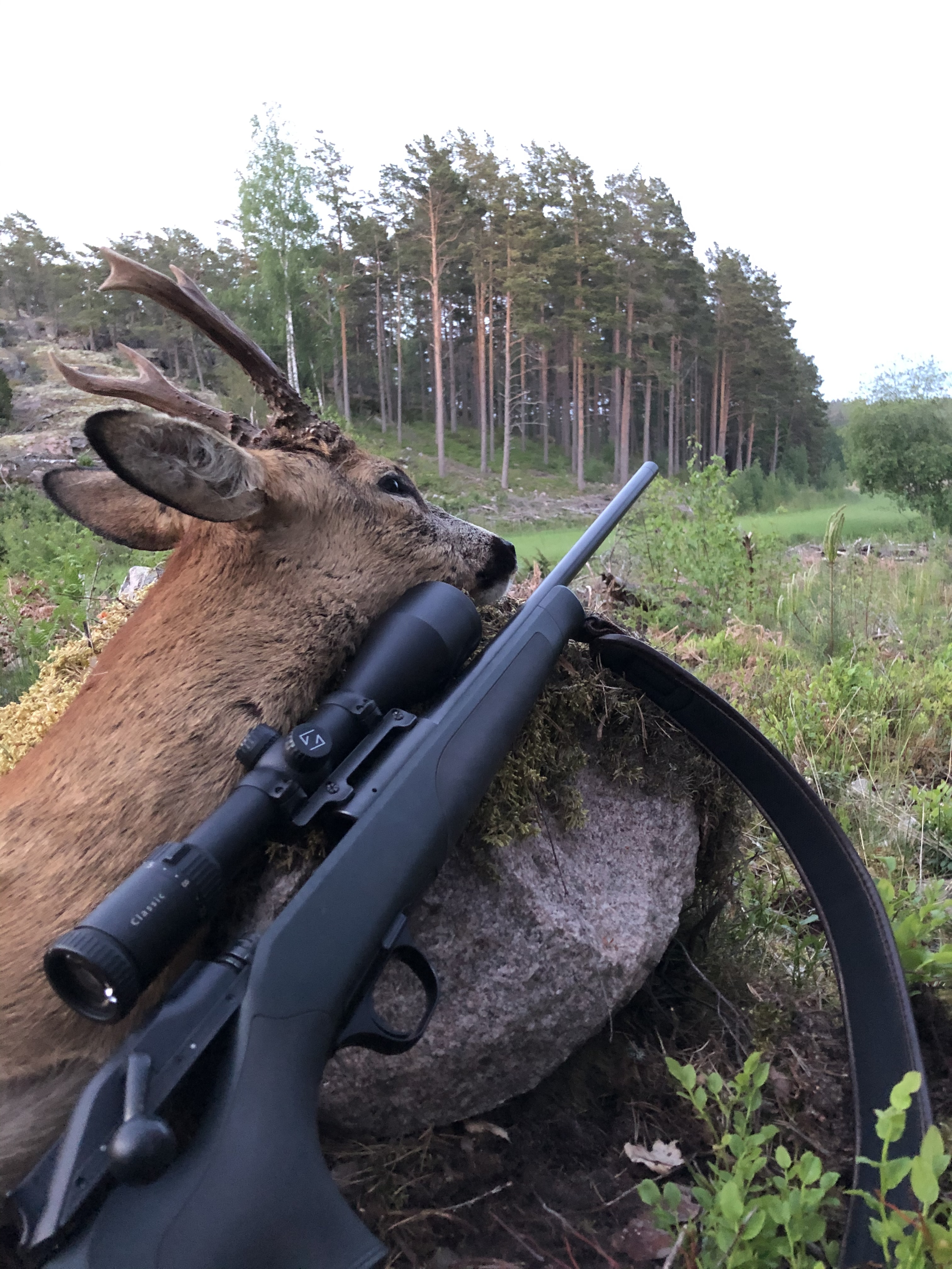 Mitä metsästyskortti vaatii