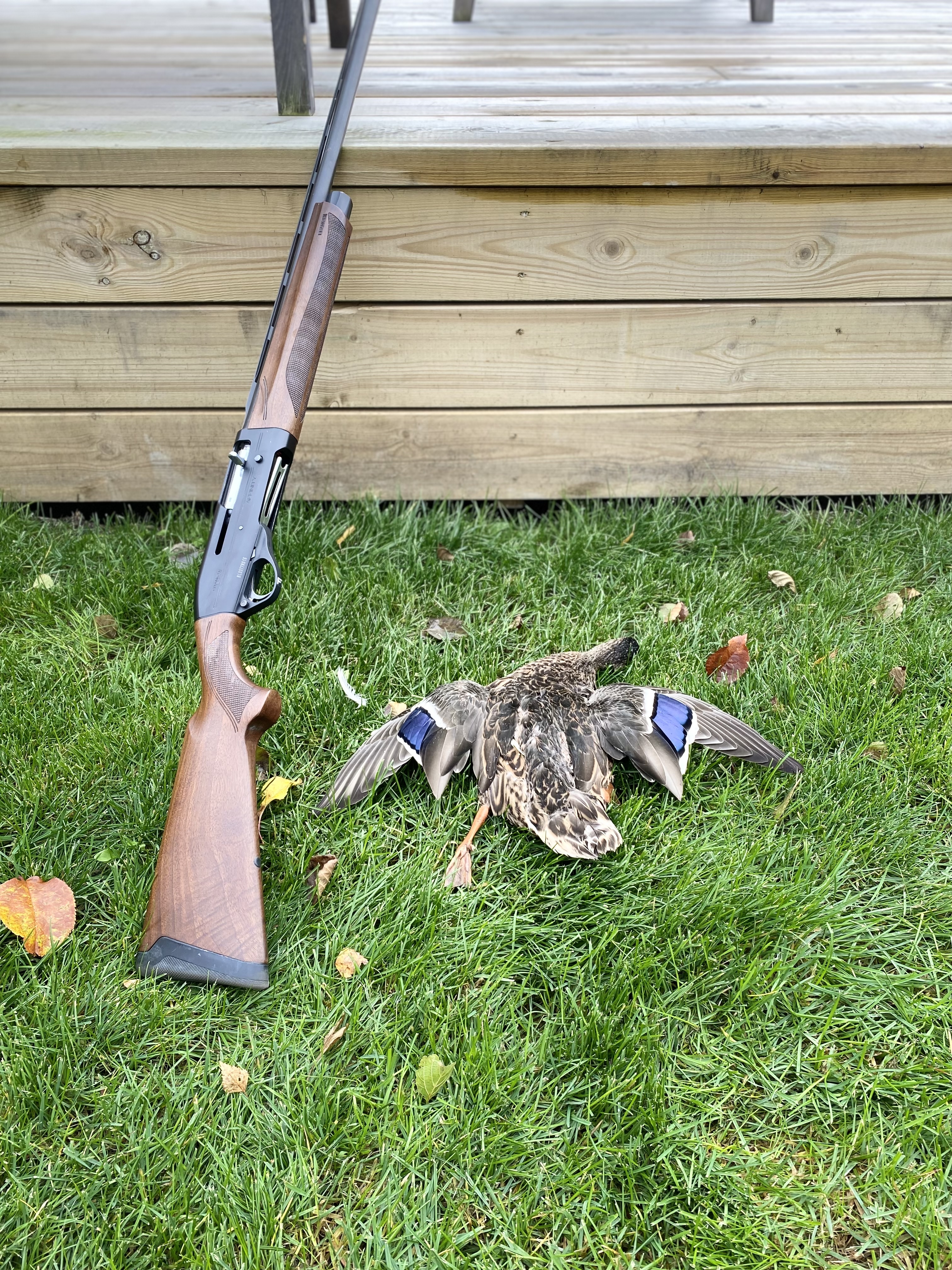 Verkkokurssi metsästäjätutkintoon – helpoin tapa valmistautua